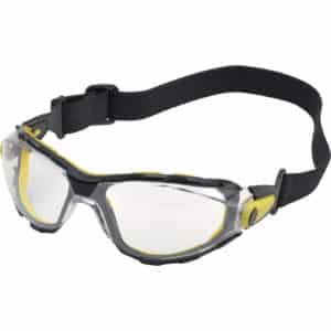 Okulary Delta Plus PACAYSTIN